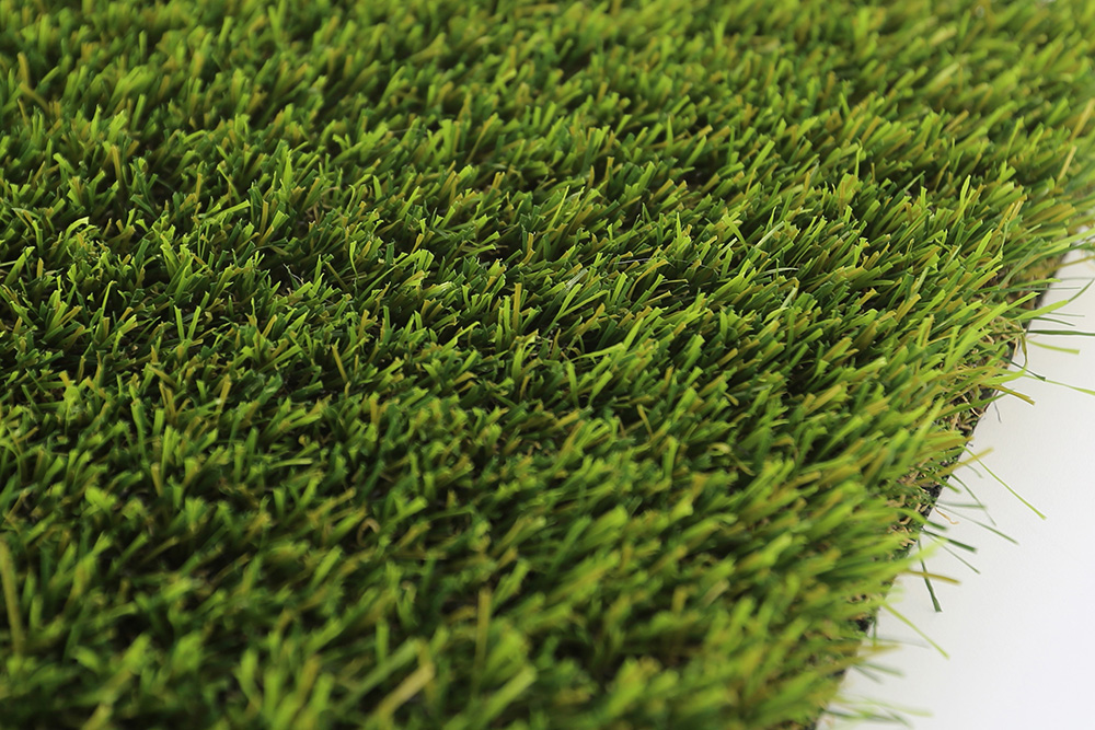 Carex